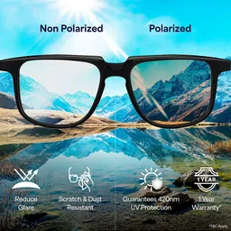 Vincent Chase by Lenskart Browline Sunglasses With Polarised and UV Protected Lens 122263 image 2