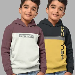 HELLCAT Boys Taupe & Navy Blue Pack Of 2 Colourblocked Hooded Sweatshirt-picture-21