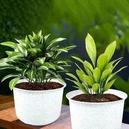 Kuber Industries White 2 Pieces Marble Finish Planters With Tray-77