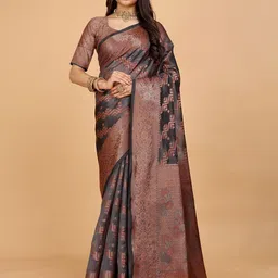 Indian Fashionista Women Ethnic Motifs Woven Design Organza Saree-picture-1