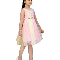 BAESD Print Net Fit & Flare Dress image 3