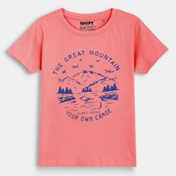 RASPY Boys Pack of 3 Graphic Printed Round Neck Cotton T-shirts-picture-11
