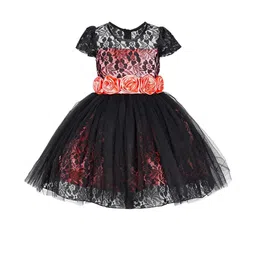 BAESD Cape Sleeve Net A-Line Dress-image-89
