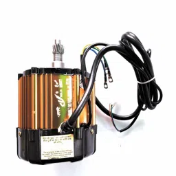 CY GOLD 48V/60 BLDC MOTOR-32