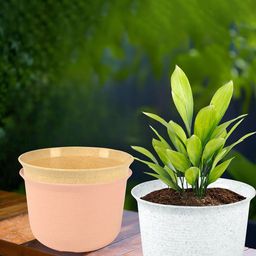 Kuber Industries 3Pcs White & Beige Textured Planters With Plate-46