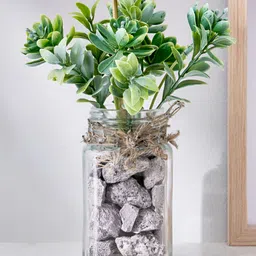 Home Centre Green 1 Pieces Baily Basil Artificial Plant With Pot-33