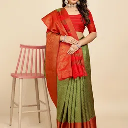 Indian Fashionista Ethnic Motifs Zari Organza Banarasi Saree-picture-10