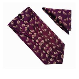 Ascot Tie & Pocket Square Combo-image-89