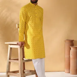 KRAFT INDIA Geometric Printed Mandarin Collar Straight Kurta-image-27