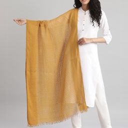 AURELIA Gold-Toned Pure Cotton Dupatta-picture-12