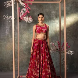 Mehak Murpana Ready to Wear Lehenga & Blouse-picture-37