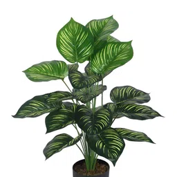 Home Bloom Green 1 Pieces Money Artificial Plant With Pot-image-94