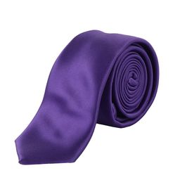 Alvaro Castagnino Men Purple Skinny Tie-image-48