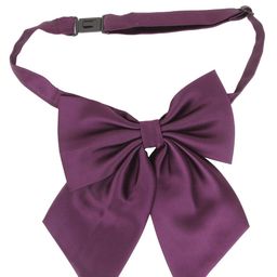 Alvaro Castagnino Men Purple Bow Tie-image-10