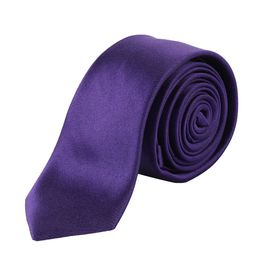 Alvaro Castagnino Men Purple Skinny Tie-image-36