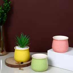 TAYHAA Yellow & Pink 3 Pieces Vibrant Textured Ceramic Planters-image-10