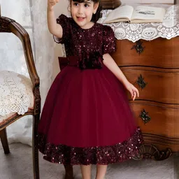DP FABRICS Net Dress-picture-11