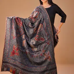 SWI Stylish Women Ethnic Motifs Woven Design Shawl-image-96