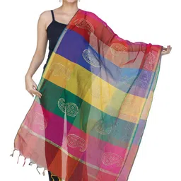 Exotic India Paisley Printed Chanderi Dupatta-picture-4