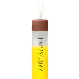 WELOUR Brown Single Glass Water Bottle-37