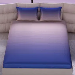 Stoa Paris Champagne & Blue 300 TC Fitted Double King Bedsheet Set 1.83 m x 1.98 m-picture-0