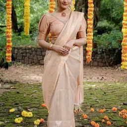 INDIOTSAV Woven Design Zari Banarasi Saree-image-99