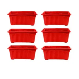 Rectangular Jupiter Flower & Plants Pots-11