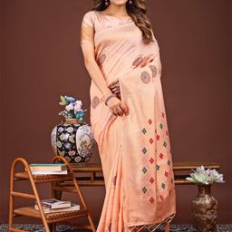 Astita Woven Design Zari Saree-image-68