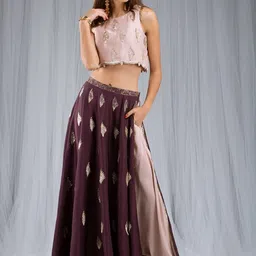 Payal Singhal Embroidered Sleeveless Ready to Wear Dhoti Pant Lehenga & Blouse-12