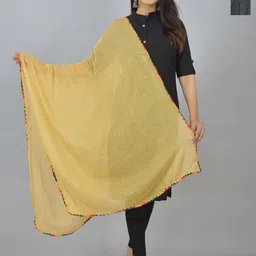 LA FEMINAE Dupatta-picture-13