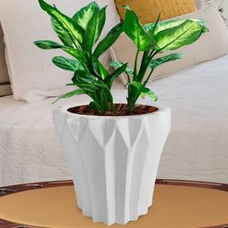LASAKI Flory White Ceramic Planters-image-32