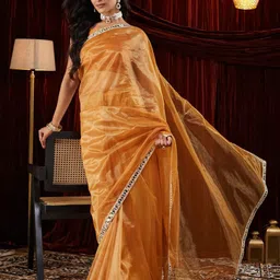 FABMORA Embellished Mirror Work Organza Saree-picture-29