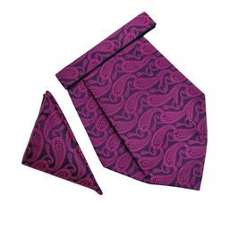 Paisley Design Cravats & Pocket Square Combo-image-51
