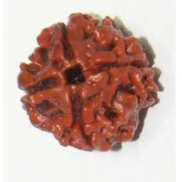 Divine souvenirs Adult Rudraksha Pendant-picture-23