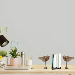 JASMEY HOMES 2-Pcs Brown & White Printed Myna Bird Showpieces-11