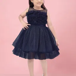 BAESD Girls Net Applique Fit & Flare Dress-46