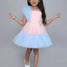MANY FROCKS & Colourblocked Net Fit & Flare Dress image 1