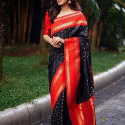 KALINI Polka Dots Woven Design Zari Saree-picture-14