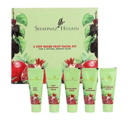 Shahnaz Husain 5 Step Mixed Fruit Facial Kit-61
