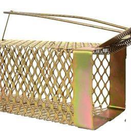 Mouse Catcher Iron Small - Ultimate Solution to All Rat Problems Live Trap-image-12