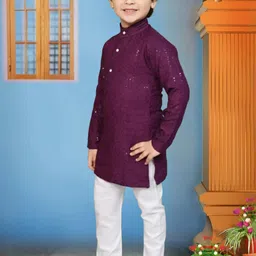 Go Berry Boys Purple Clothing Set-image-13