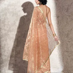 Tikhi Imli Ethnic Motifs Sequinned Net Saree image 4