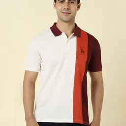 Allen Solly Men Colourblocked Polo Collar Applique T-shirt-image-87