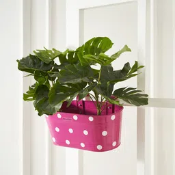 DecorTwist Pink & White Printed Metal Hanging Railing Planter-picture-20