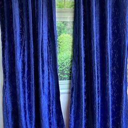 Pink Parrot Blue 2 Pieces Door Curtain-image-39