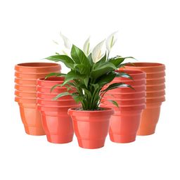 RUBOXA Pack of 24 2-Layer Flower Pot for Home Decore-picture-10