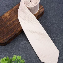 Alvaro Castagnino Men Solid Woven Design Broad Tie-image-99