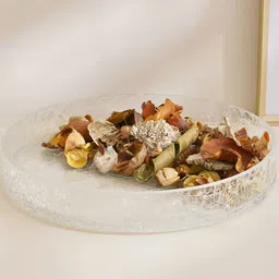 Home Centre Nolan Transparent Textured Glass Decorative Bowl-image-42
