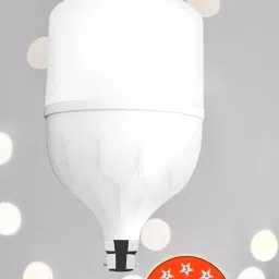 30 W Basic Standard B22 D LED Bulb-9