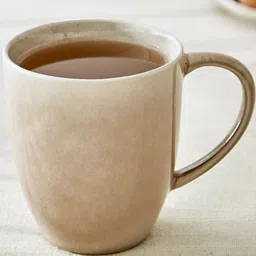 Home Centre Cadenza Brown Stoneware Glossy Coffee Mug - 350ml-53